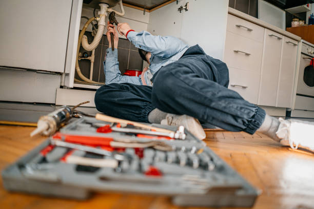 Best Septic Systems  in Jamul, CA