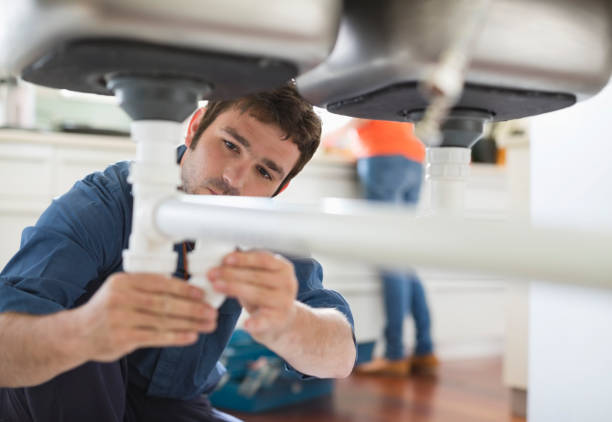 Best Plumbing Inspection Services  in Jamul, CA